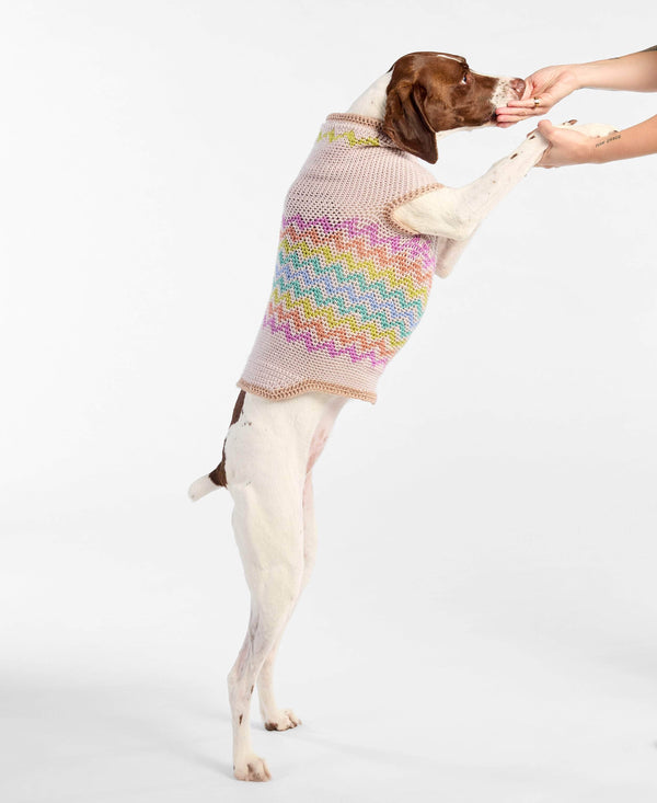 Pawliday Cheer Dog Sweater